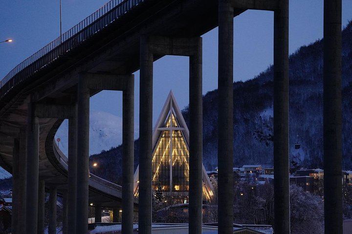 Kreuzfahrt zur Beobachtung des Polarlichts von Tromsø mit einem dreigängigen Abendessen an Bord (6/12)