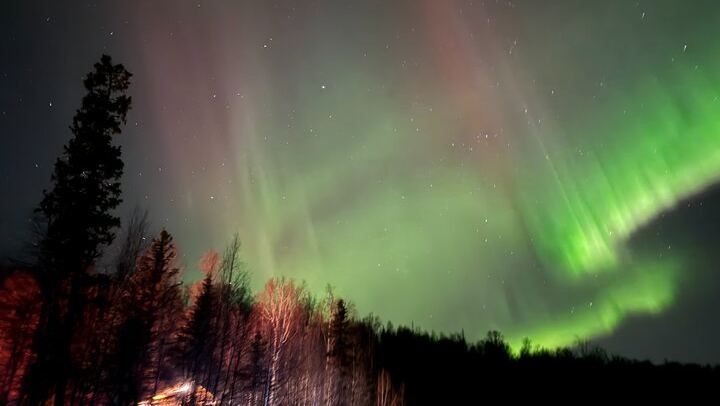 Untamed Northern Lights Sightseeing from Anchorage, Alaska