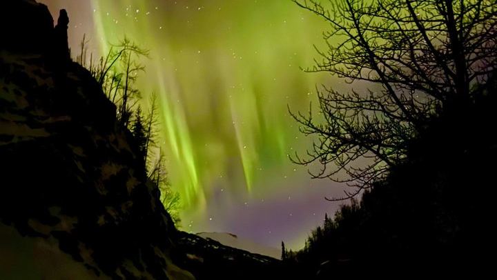 Untamed Northern Lights Sightseeing from Anchorage, Alaska (2/12)