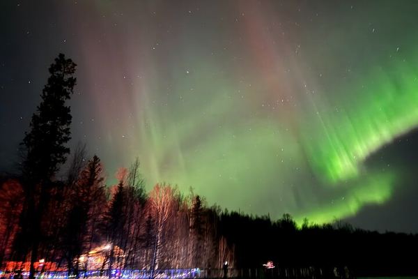Untamed Northern Lights Sightseeing from Anchorage, Alaska
