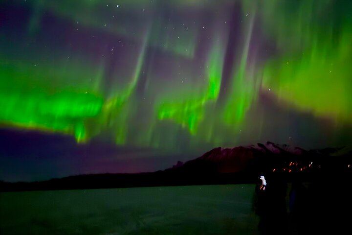 Untamed Northern Lights Sightseeing from Anchorage, Alaska (6/12)