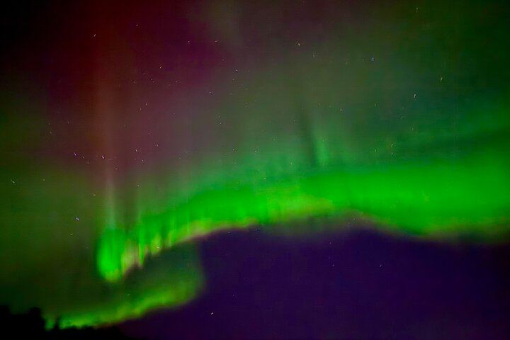 Untamed Northern Lights Sightseeing from Anchorage, Alaska (10/12)