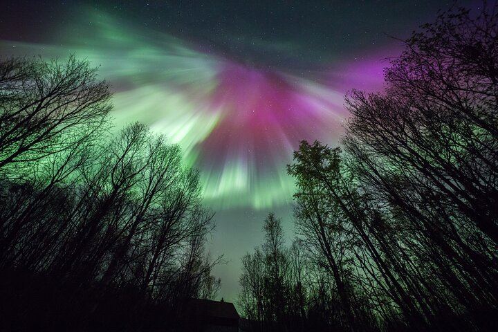 Tromso Northern Lights Minibus Chase, Small Group with Portraits (11/12)