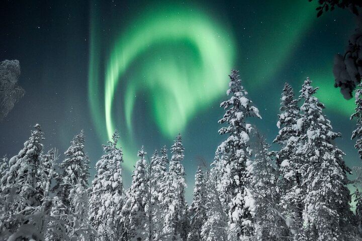 Night Snowmobile Safari in Search of the Northern Lights, Rovaniemi (7/10)