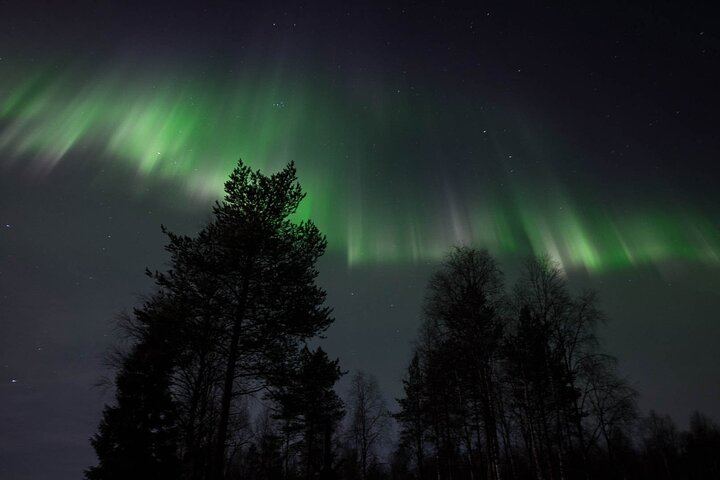 Night Snowmobile Safari in Search of the Northern Lights, Rovaniemi (10/10)