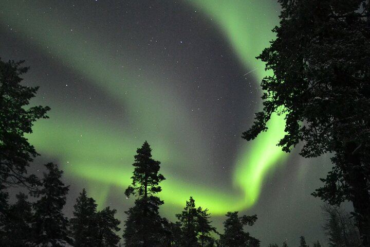 Night Snowmobile Safari in Search of the Northern Lights, Rovaniemi (9/10)