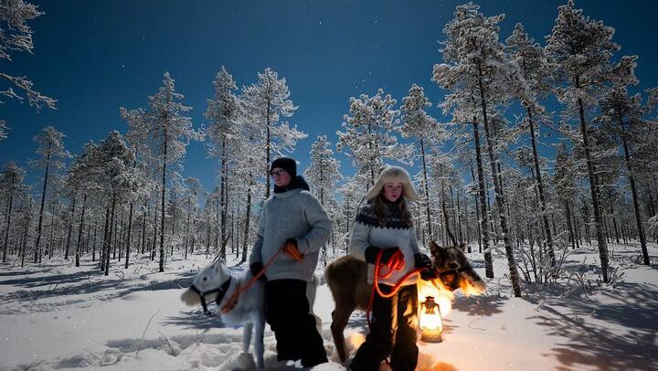 Ranua Aurora Activity Park After Dark with Sauna and Reindeer (3/12)