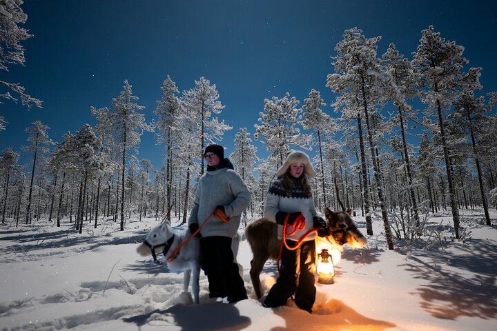 Ranua Aurora Activity Park After Dark with Sauna and Reindeer (3/12)