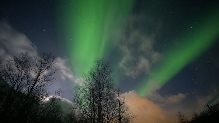 Eine Tour zur Beobachtung des Polarlichts in Tromsø, begleitet von Einheimischen aus Norwegen (4/8)