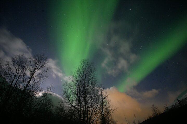 Eine Tour zur Beobachtung des Polarlichts in Tromsø, begleitet von Einheimischen aus Norwegen (4/8)