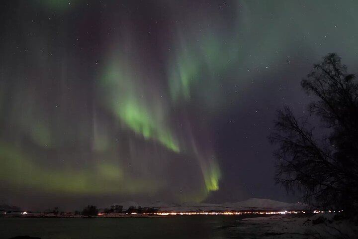 Eine Tour zur Beobachtung des Polarlichts in Tromsø, begleitet von Einheimischen aus Norwegen (6/8)