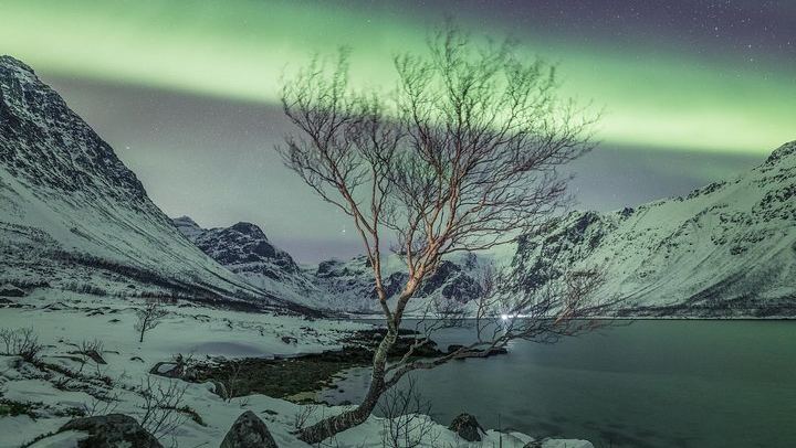 Private Northern Lights Tour from Tromso with Greenlander (4/7)