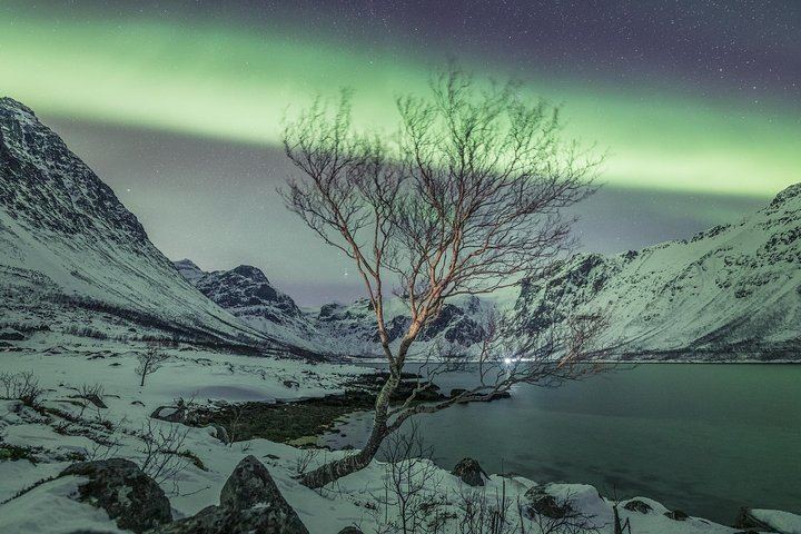 Private Northern Lights Tour from Tromso with Greenlander (4/7)