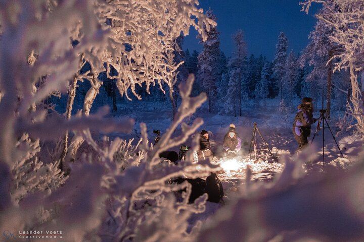 Tromso Northern Lights Minibus Chase, Small Group with Portraits (9/12)