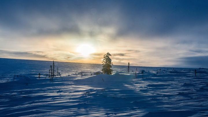 Arctic Circle Aurora Drive from Fairbanks on the Dalton Highway (4/12)