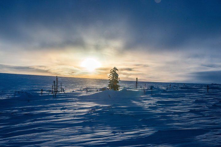 Arctic Circle Aurora Drive from Fairbanks on the Dalton Highway (4/12)
