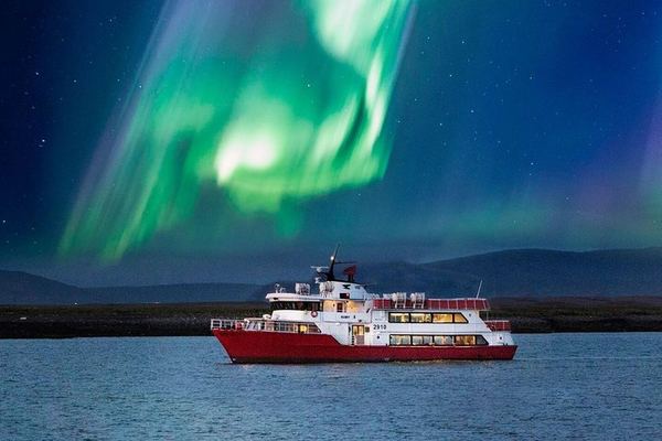 Winter Whale Watching and Evening Northern Lights Cruise from Reykjavík