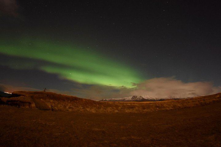 Winter Whale Watching and Evening Northern Lights Cruise from Reykjavík (4/8)