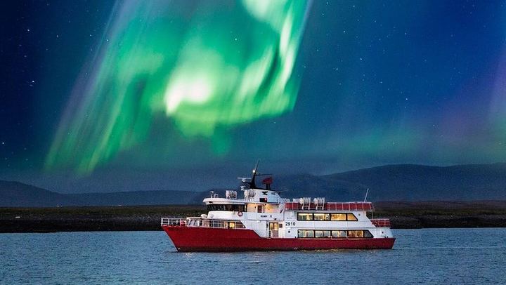 Winter Whale Watching and Evening Northern Lights Cruise from Reykjavík