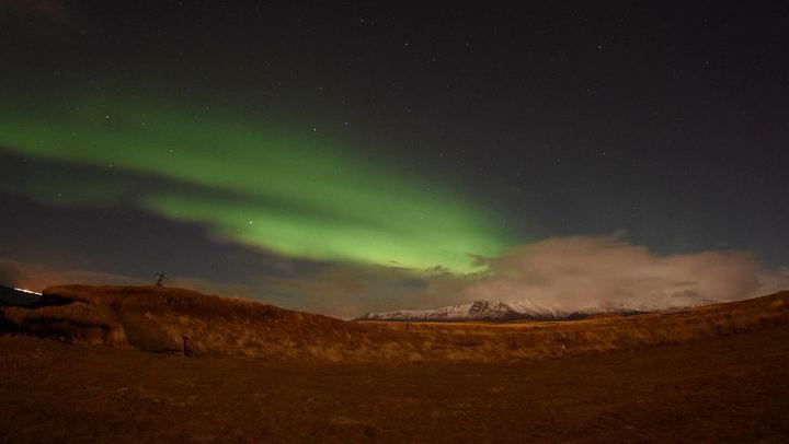 Winter Whale Watching and Evening Northern Lights Cruise from Reykjavík (4/8)