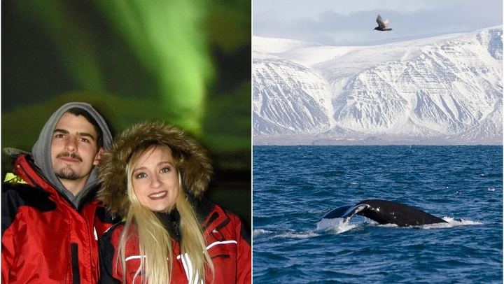 Winter Whale Watching and Evening Northern Lights Cruise from Reykjavík (1/8)