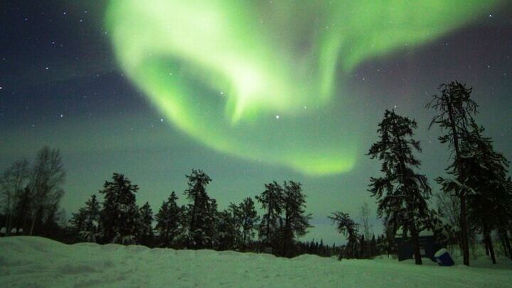 Yellowknife Aurora Hunting by Bus with Wilderness First Aid Guides (4/12)