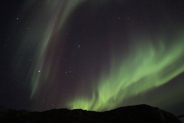 Yellowknife Aurora Hunting by Bus with Wilderness First Aid Guides