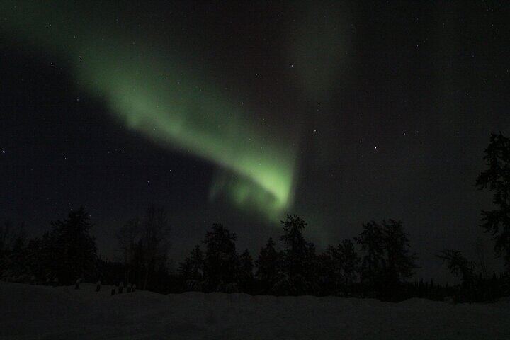 Yellowknife Aurora Hunting by Bus with Wilderness First Aid Guides (3/12)