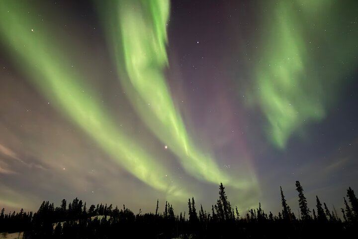 Yellowknife Aurora Hunting by Bus with Wilderness First Aid Guides (6/12)