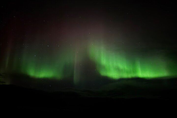 Yellowknife Aurora Hunting by Bus with Wilderness First Aid Guides (11/12)