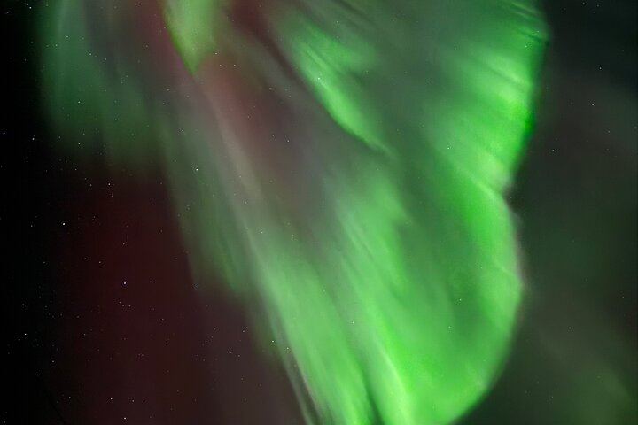 Yellowknife Aurora Hunting by Bus with Wilderness First Aid Guides (12/12)