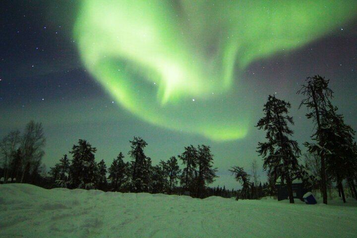 Yellowknife Aurora Hunting by Bus with Wilderness First Aid Guides (4/12)