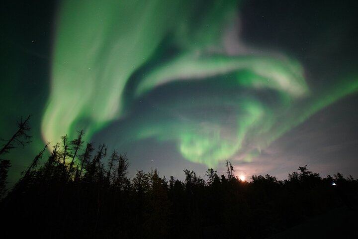 Northern Lights Bus Tour on the Ingraham Trail from Yellowknife (9/12)