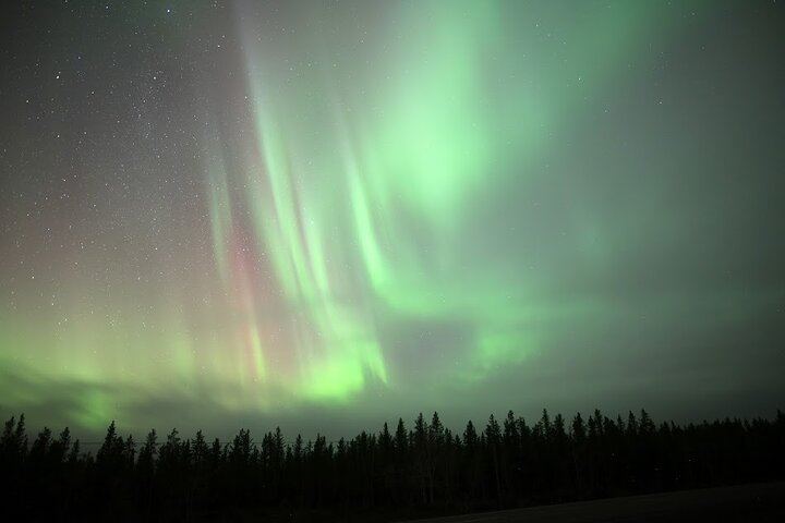 Yellowknife Winter Package: 5 Days, 4 Nights of Aurora and Day Trips (7/12)