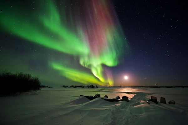 Yellowknife Aurora by Bus: Lake Hopping with Hotel Pickup