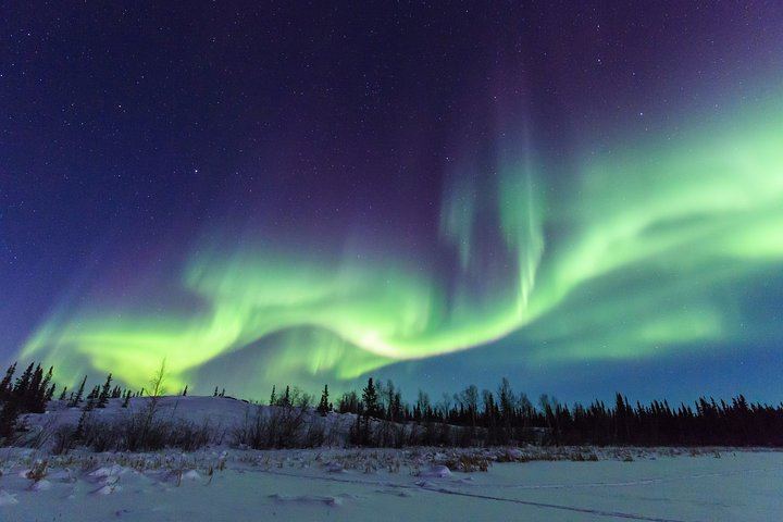 Yellowknife Aurora by Bus: Lake Hopping with Hotel Pickup (4/10)